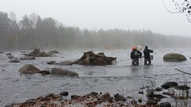 Saija Koljonen